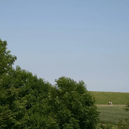 Deichkutscher Schmarren